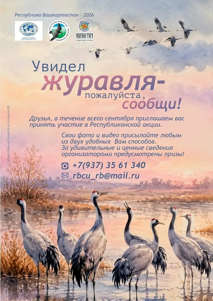 Если вы заметили стаю журавлей (как правило, на полях или болотах), напишите специалист...