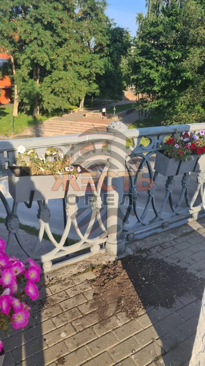 На Александровском мосту продолжают портить кашпо с цветами 😡

Напомним, всего несколько дней назад
