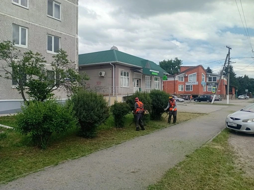 Покос по улице Горького