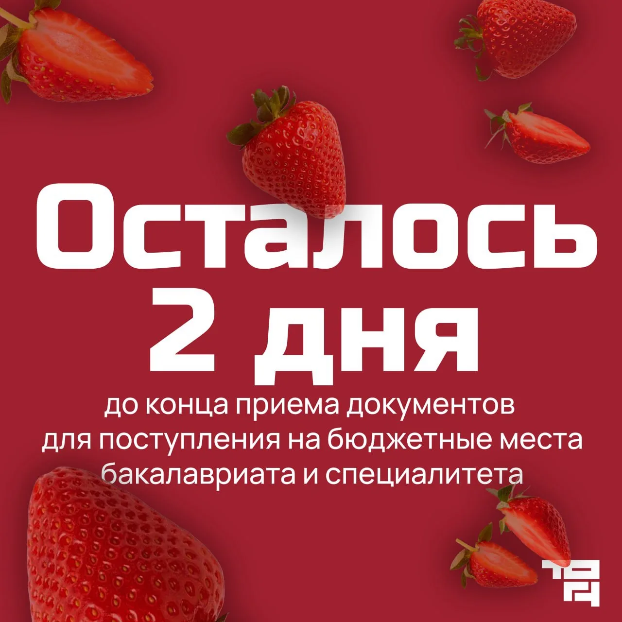 Привет, абитуриент! ✨