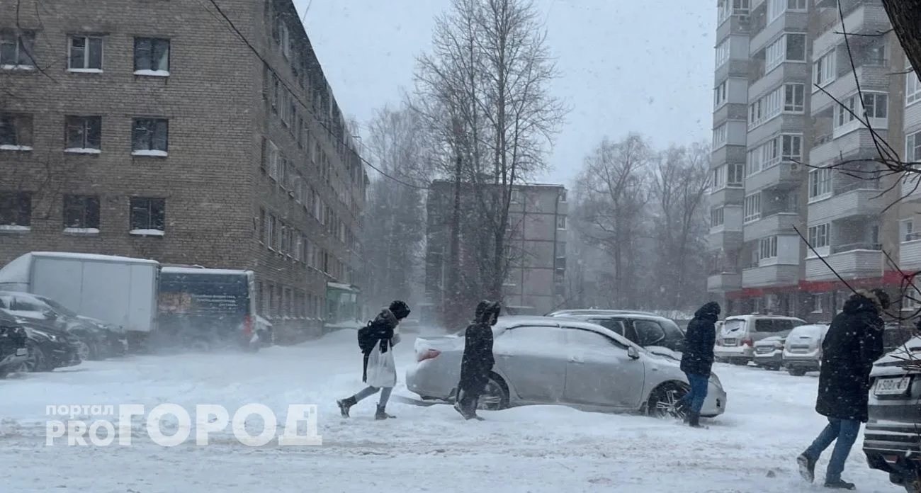 Когда снегопады придут в Ярославль: назвали точную дату  Фото: Про Город. Автор: Полина Маркова ("Пр