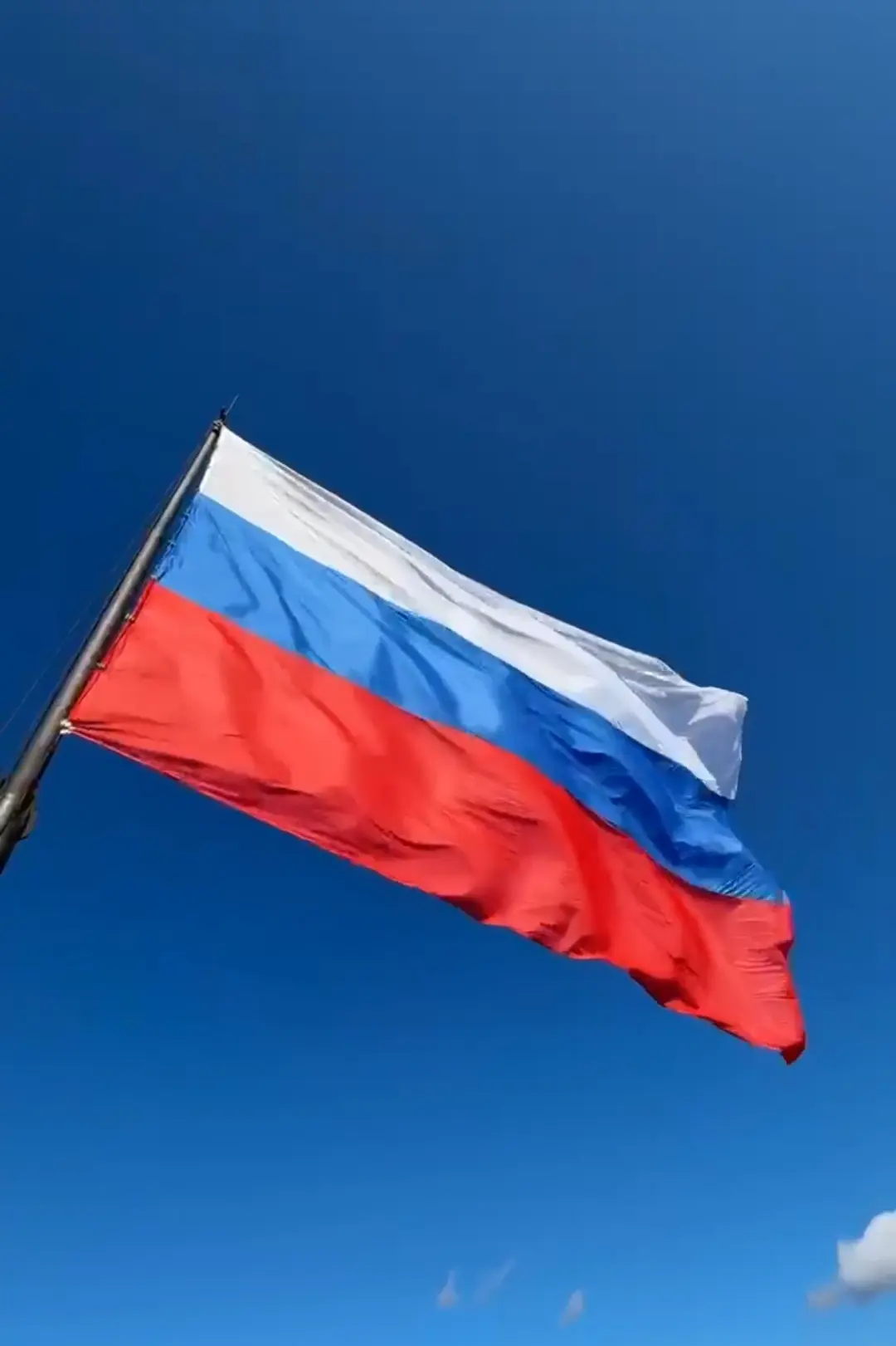 🇷🇺 Сегодня, 22 августа, в День государственного флага России, мы чествуем символ 🇷🇺...