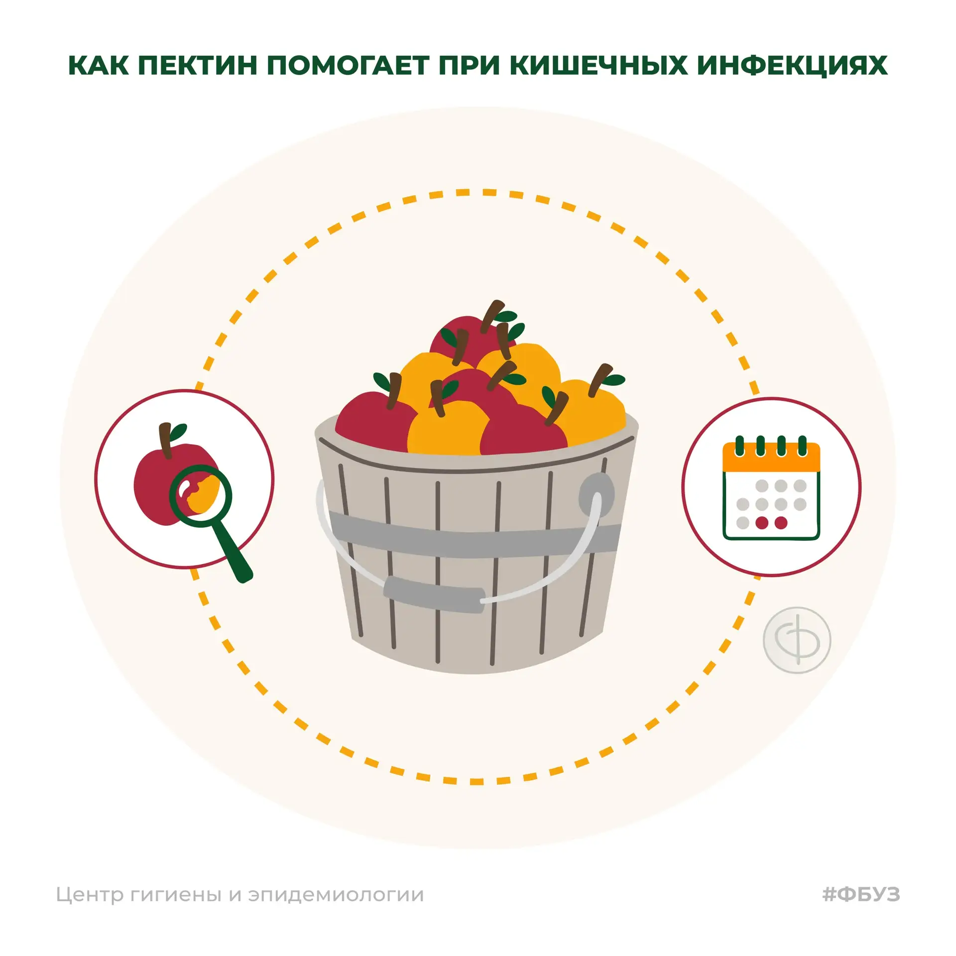 Как пектин помогает при кишечных инфекциях? 🍎🛡️