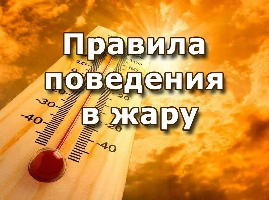 🥵 Повышенная температура, как на открытой местности, так и в помещениях может негативн...