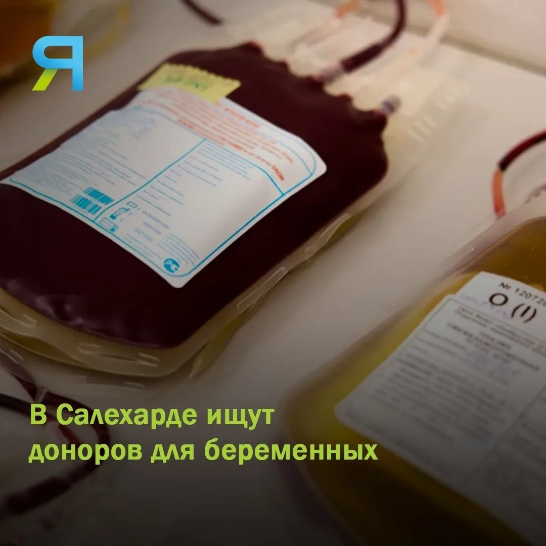 🤰🏻 В Салехарде необходимы доноры для беременных женщин