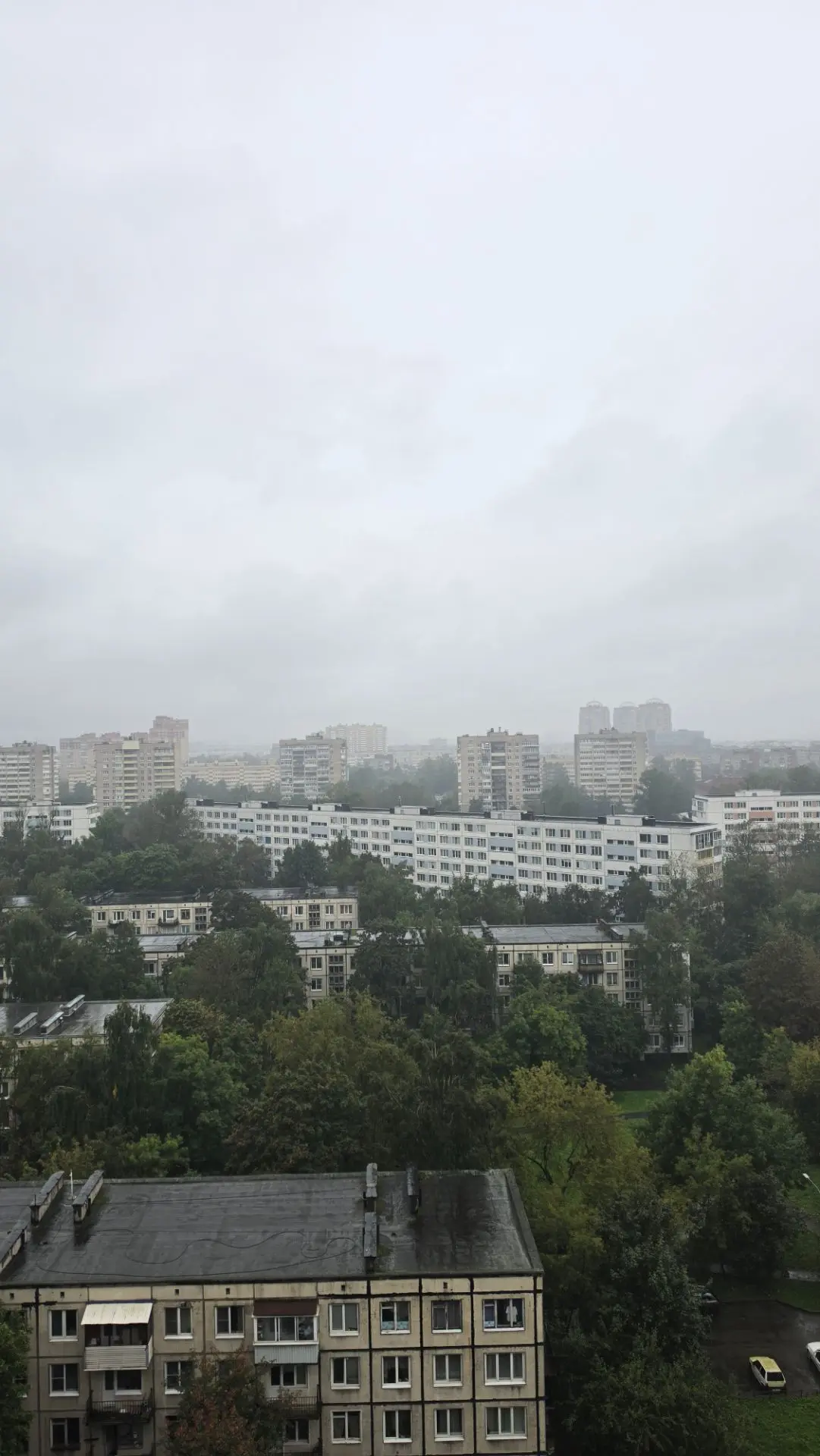 - Почему Питер так сверкает чистой, яркой зеленью?
