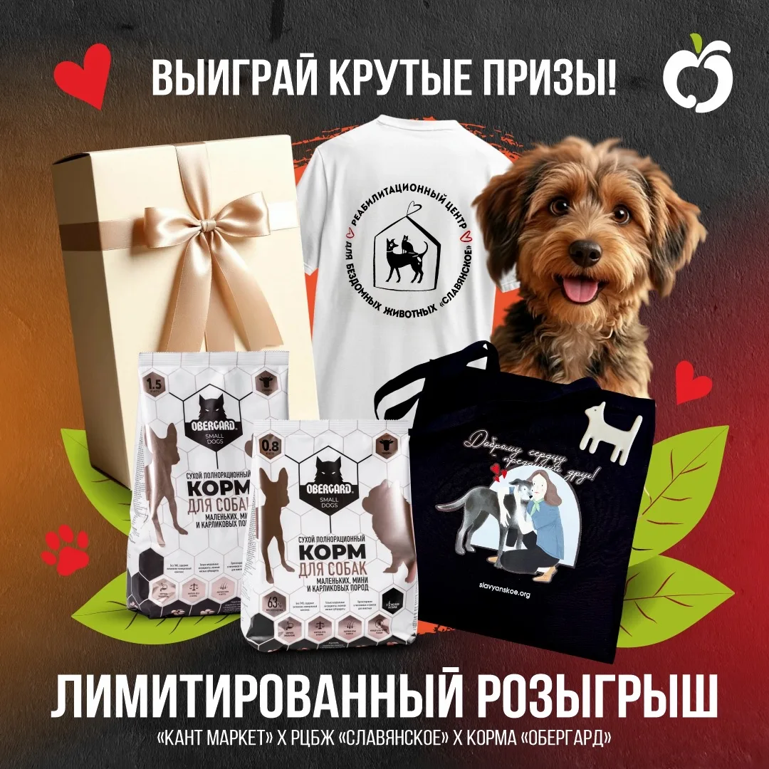 ✨🐕 16 мая в парке «Южный» пройдёт большой благотворительный фестиваль «Друг Фест», где...