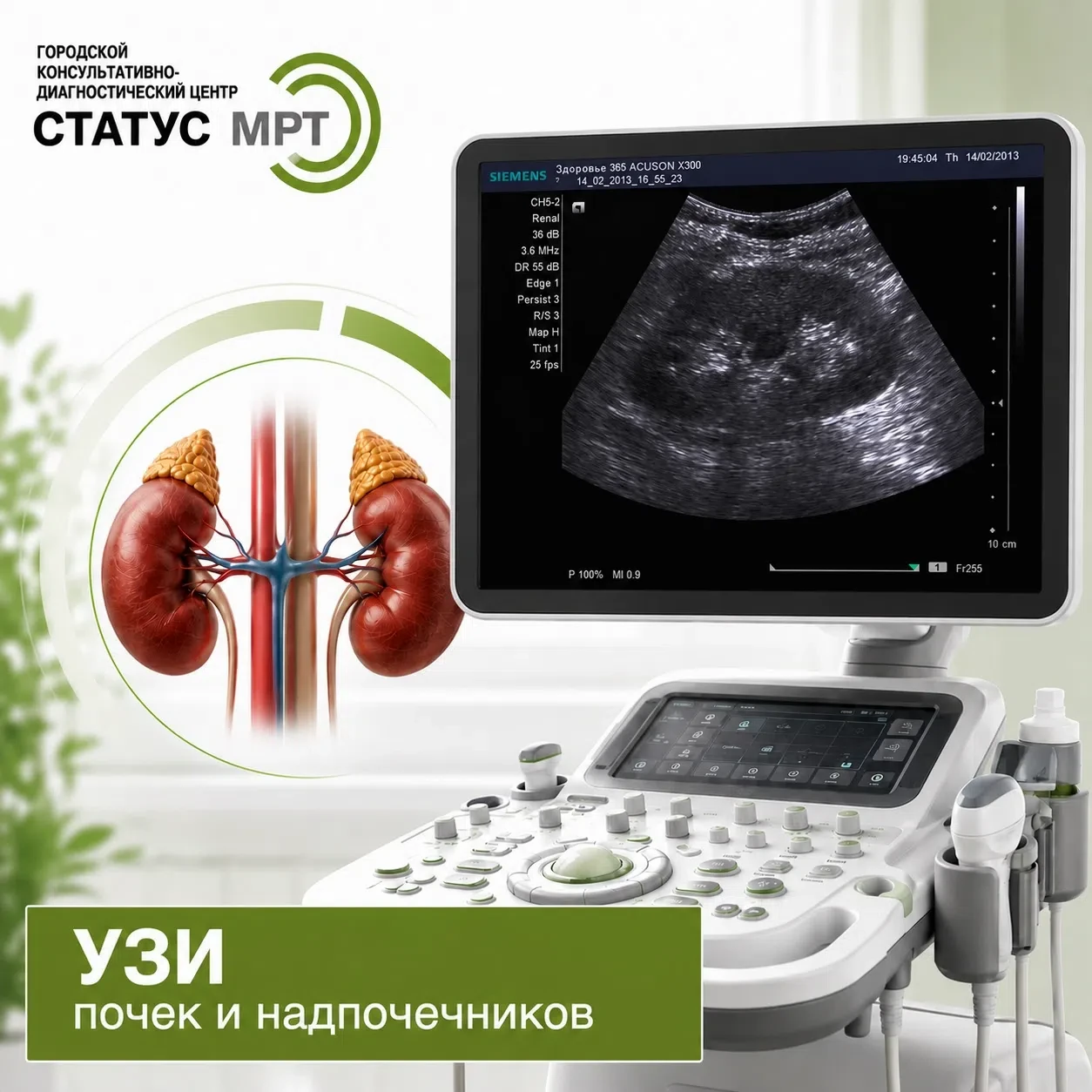 Тихие стражи нашего организма: какую работу они выполняют круглые сутки?