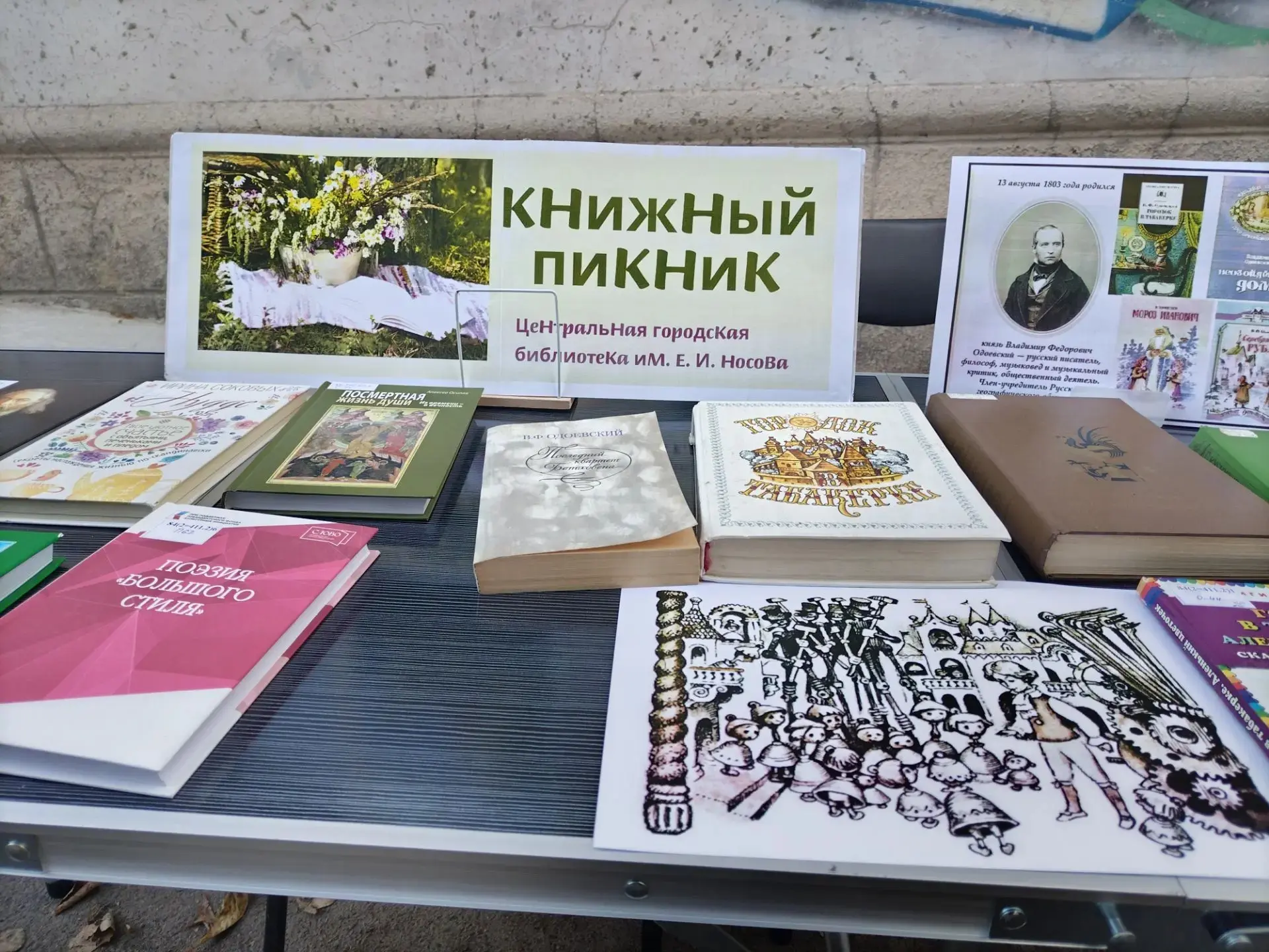 Центральная городская библиотека устроила книжный пикник, и, кажется, это была отличная...