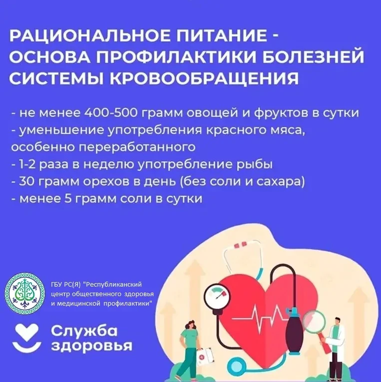 Выбираем продукты для сердца: простые правила здорового питания