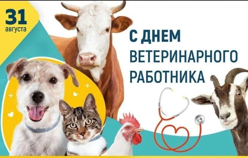 Уважаемые работники ветеринарной службы!