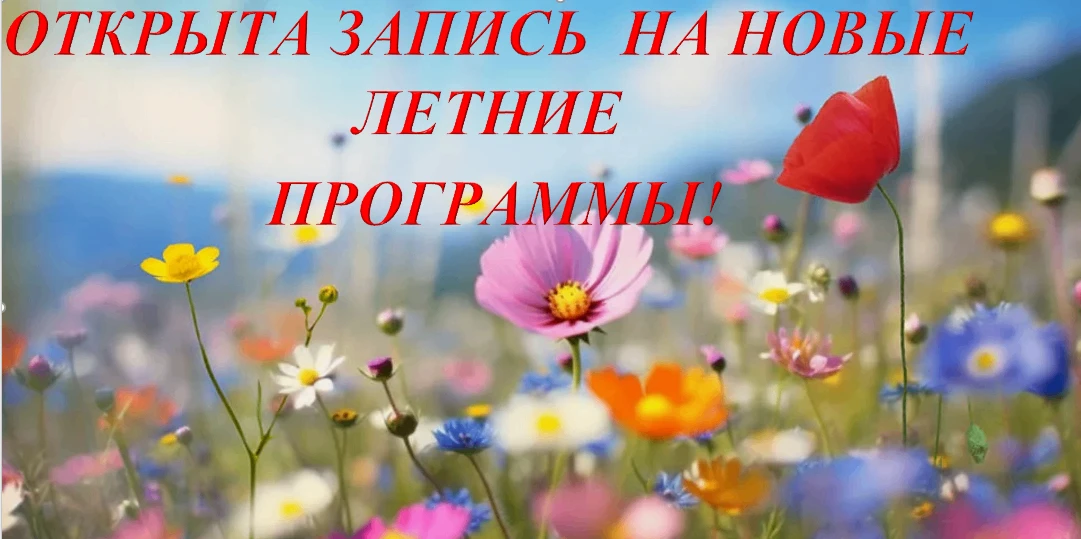 ❗️ Вашему вниманию в НАВИГАТОРЕ ДОПОЛНИТЕЛЬНОГО ОБРАЗОВАНИЯ МОСКОВСКОЙ ОБЛАСТИ будут пр...