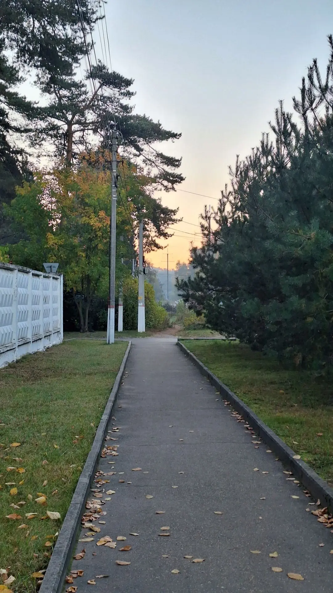 Немного фото с утренней прогулки