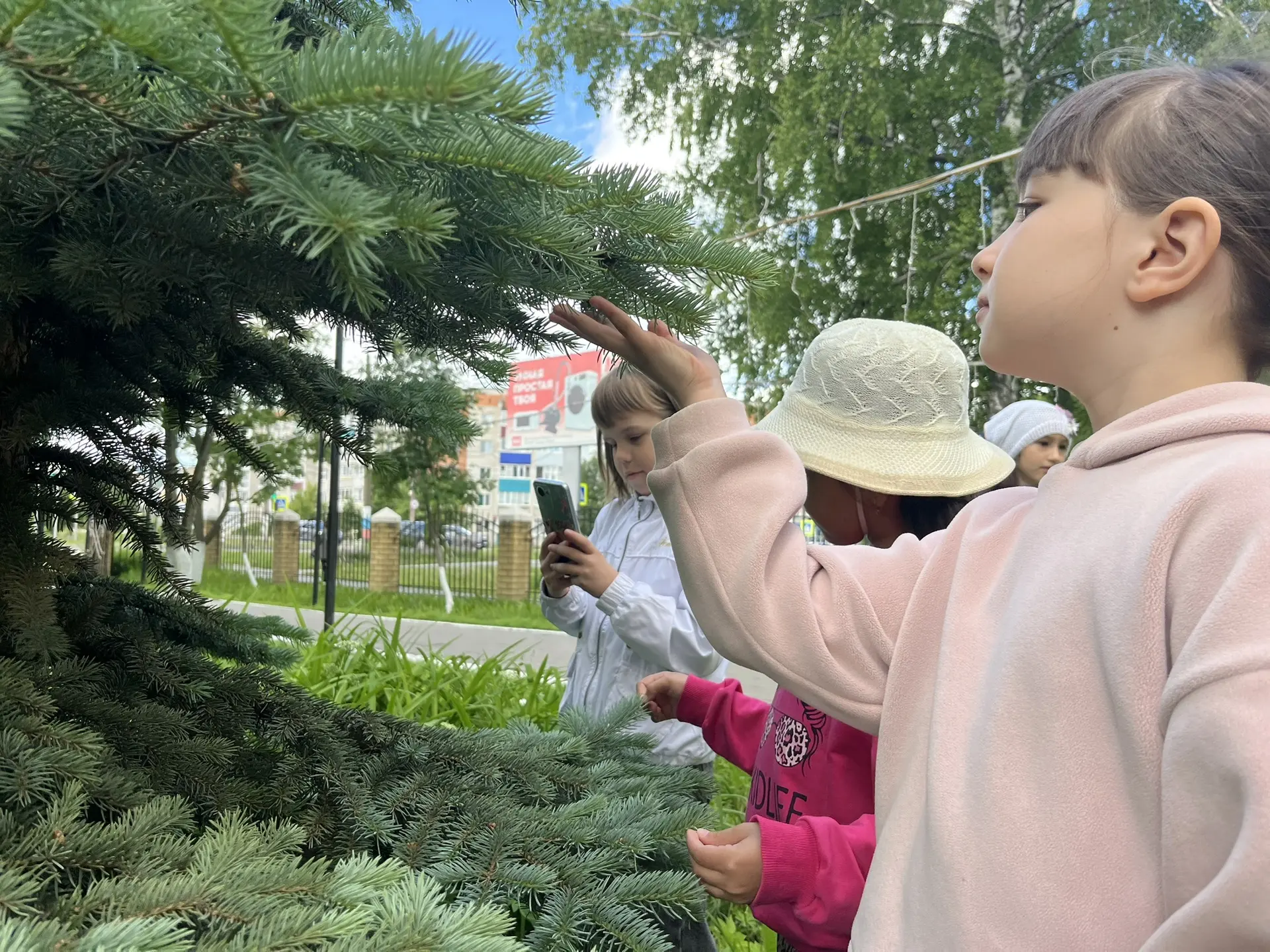 🌿 Цифровой взгляд на живую природу! 📱