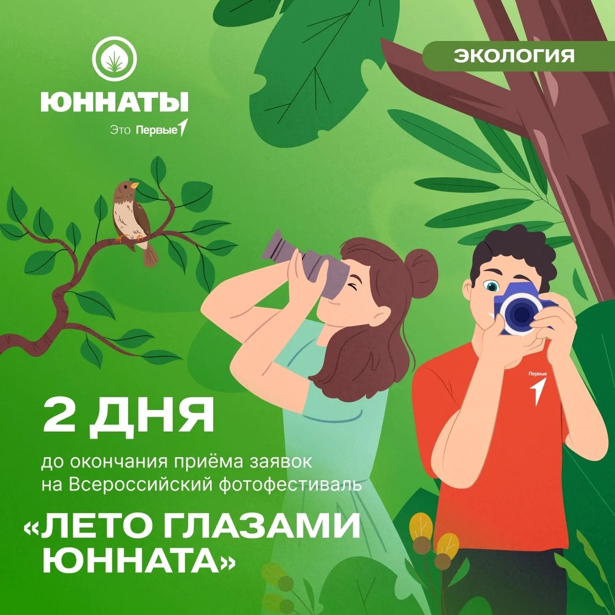 🌞 А КУДА ПОДЕВАЛОСЬ ЛЕТО?