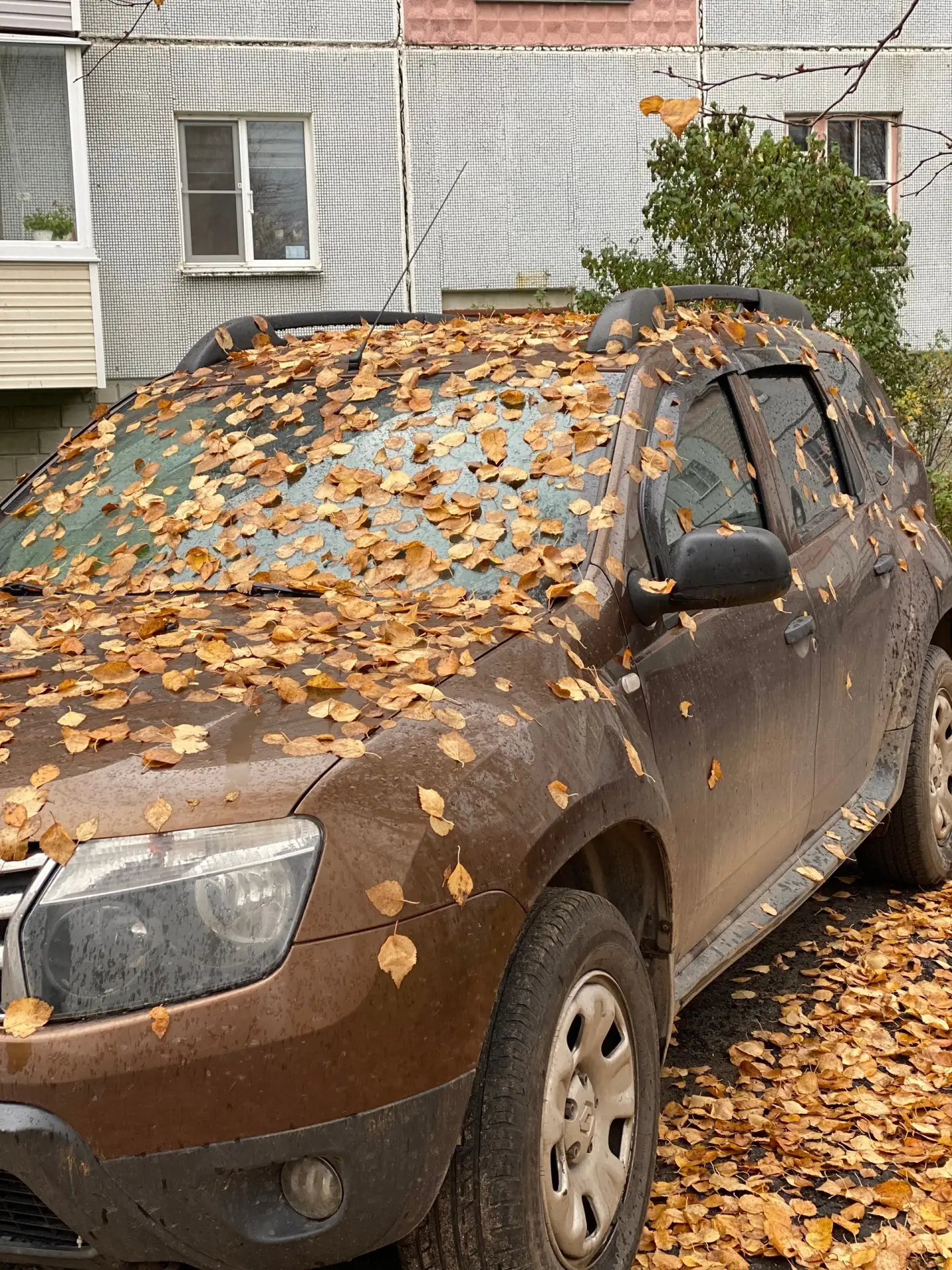 Доброе утро, Северодвинск! 🍂 🍂