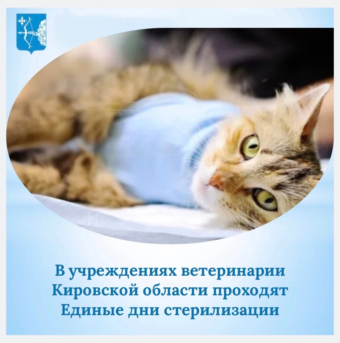 В государственных учреждениях ветеринарии Кировской области регулярно проходят Единые д...
