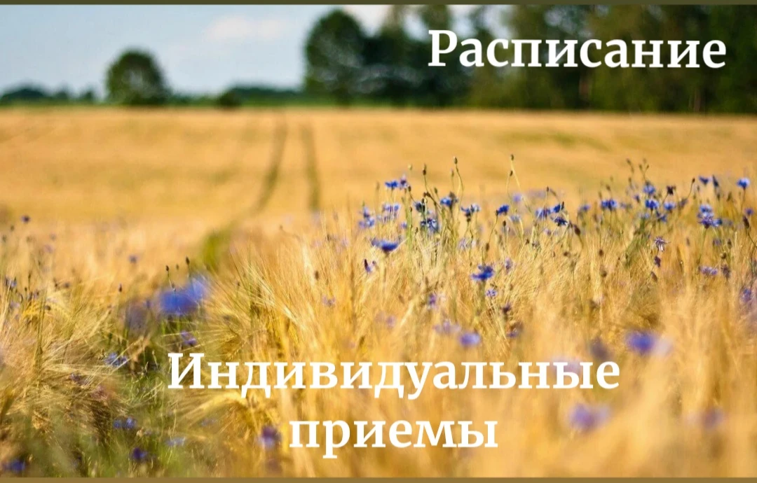 📌Запись на индивидуальные приемы к специалистам: