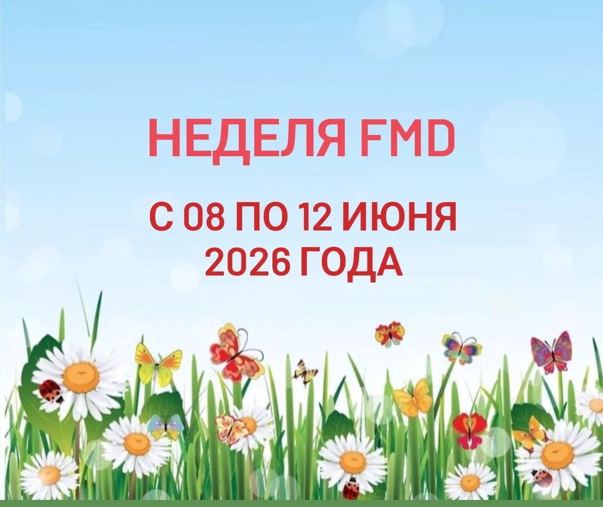 Я ГОТОВА АНОНСИРОВАТЬ! 🎉