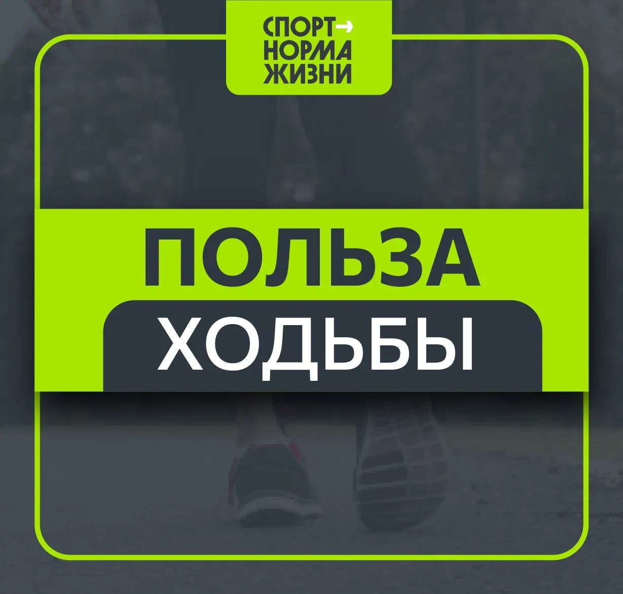 🚶 «ЗДОРОВЫЙ ОБРАЗ ЖИЗНИ»: ПОЛЬЗА ХОДЬБЫ