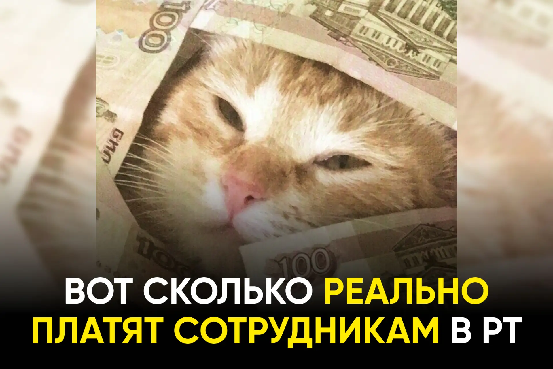 За год число вакансий сократилось, а количество резюме только увеличивается.