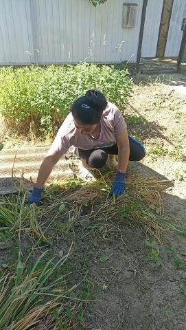 Начался летний период, и социальные работники Городовиковского комплексного центра  социального обсл