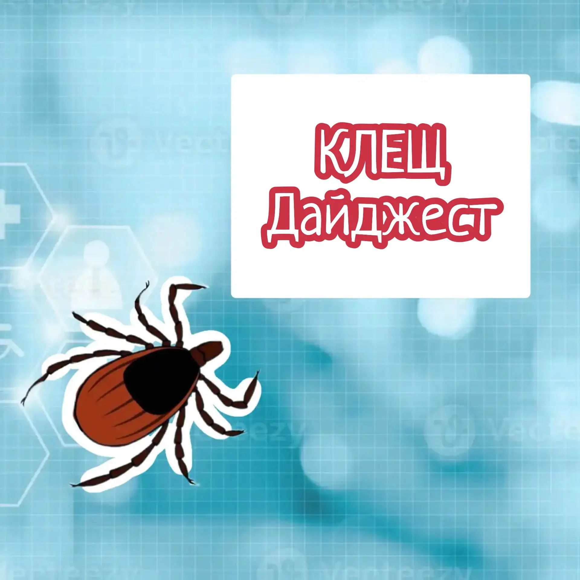 Дайджест по укусу клеща 

Алгоритм действия при укусе клеща
Клещ и анализы
Клещ и мифы
Как клещ куса