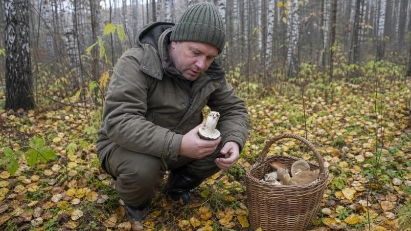 В Нижегородской области один из случаев отравления грибами закончился смертью