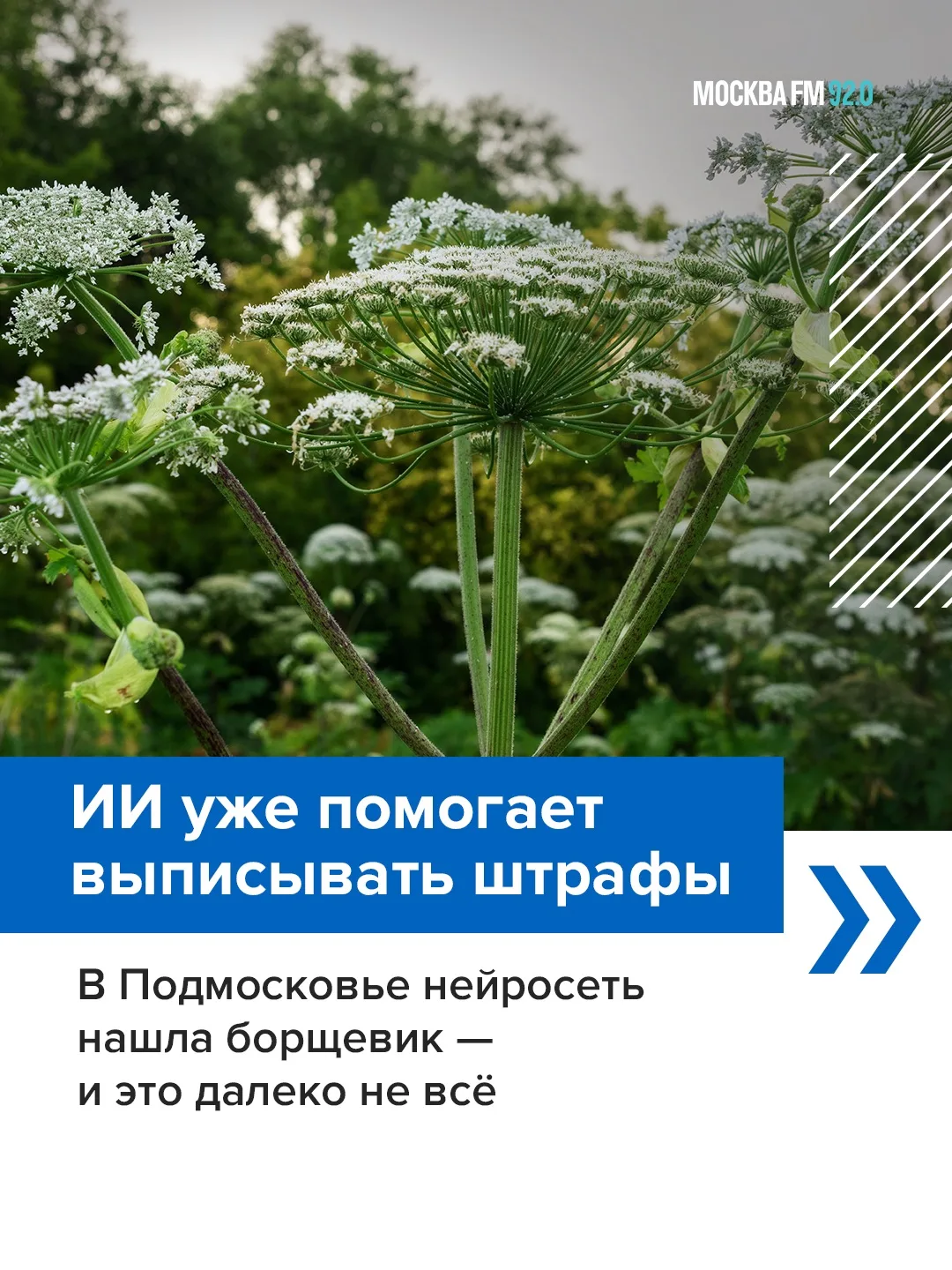 🤖 В Подмосковье впервые выписали штраф за нарушение, которое обнаружил ИИ