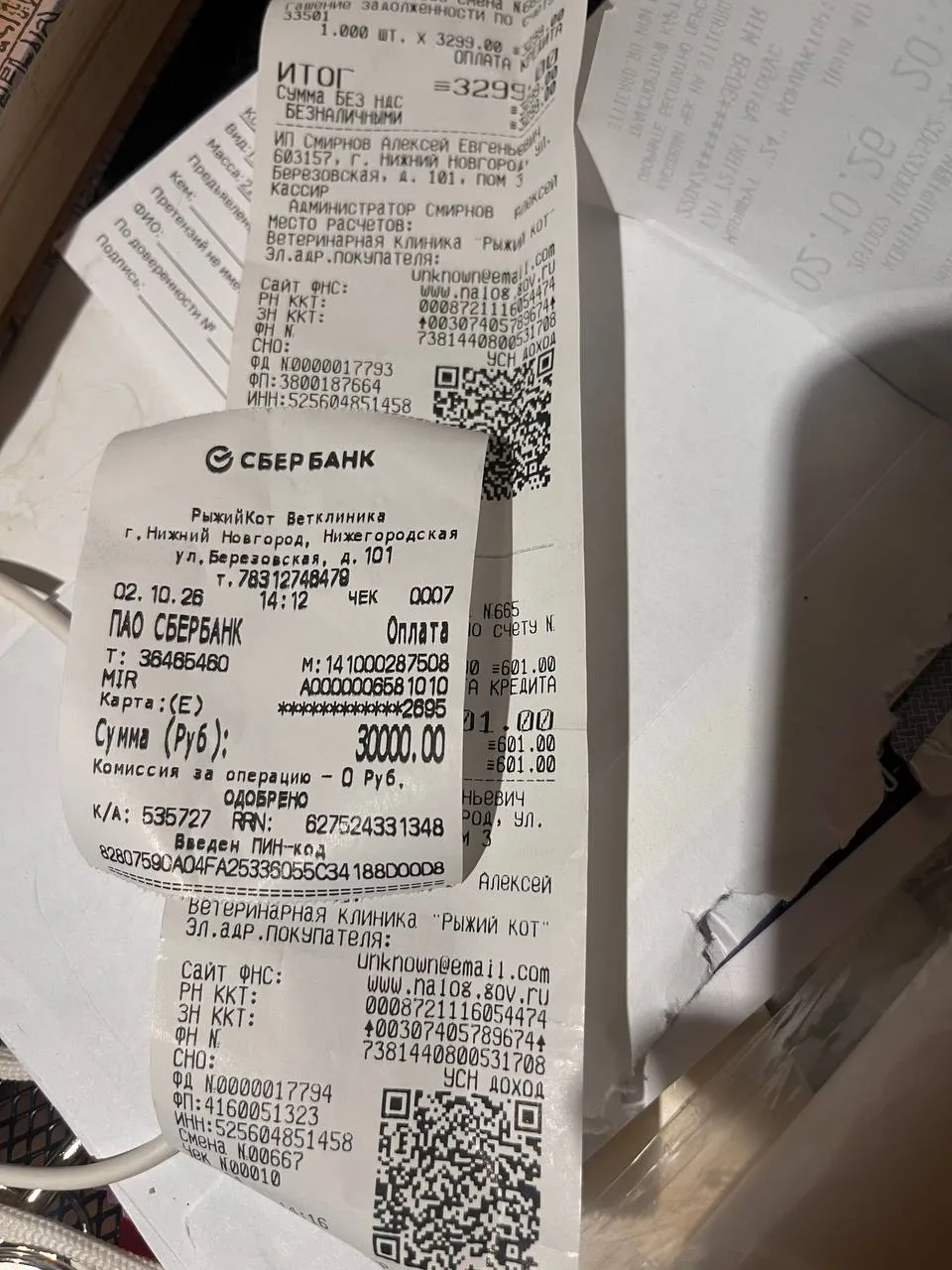 Вчера внесли 30000₽ на счет в рыжем коте , долги на сегодняшний день там большие 😞