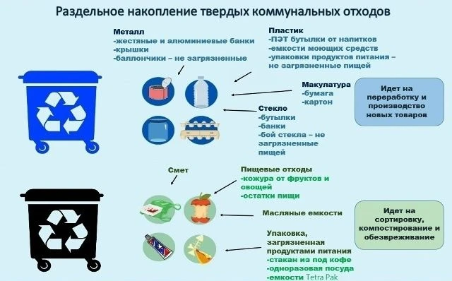Чистота нашего
