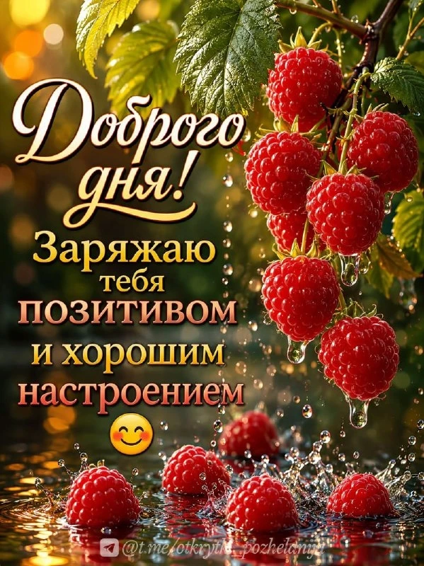 Открытки: подписаться ❤️