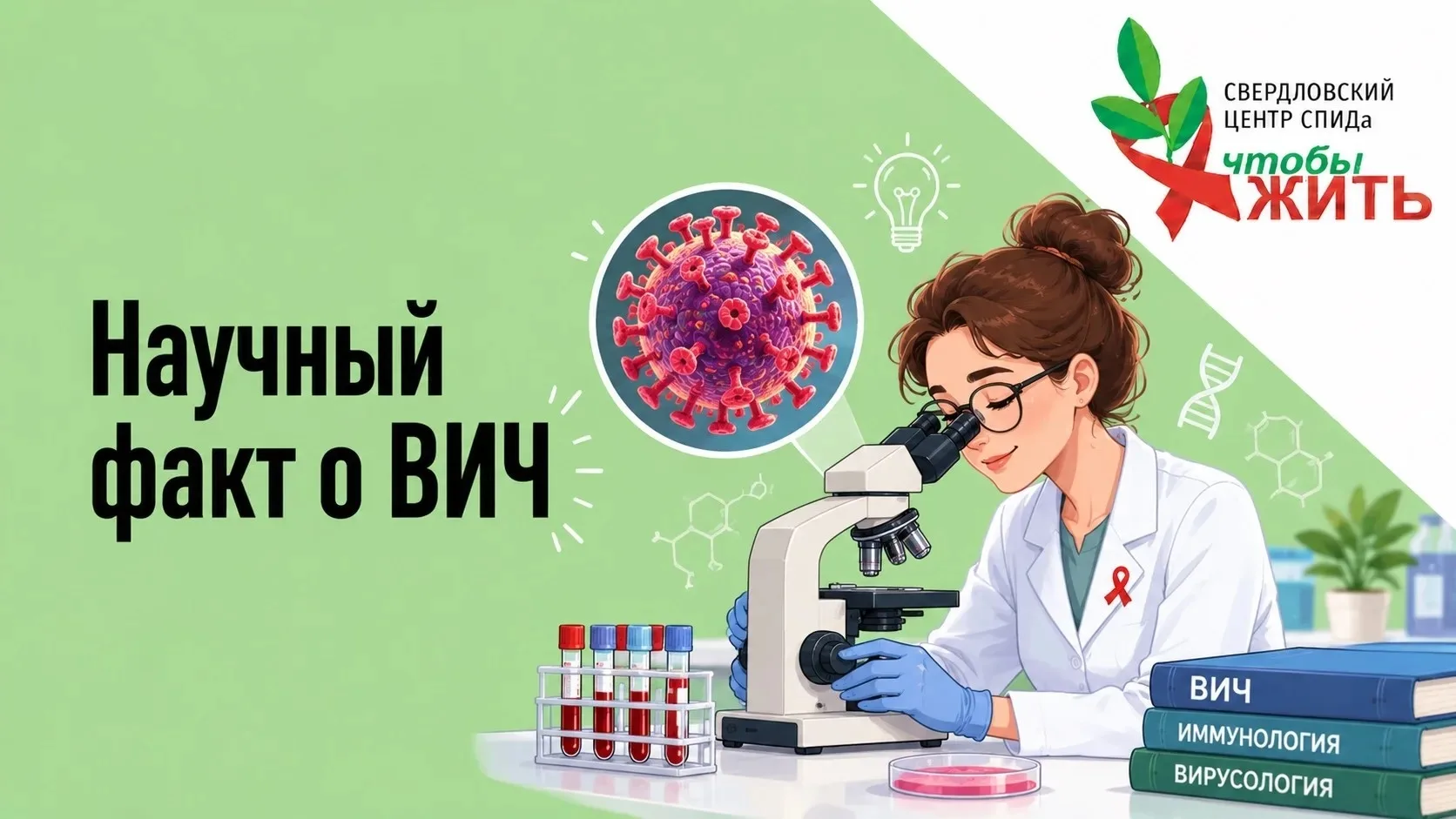 Знаете ли вы, что иммунная система начинает восстанавливаться уже в первые недели после начала антир