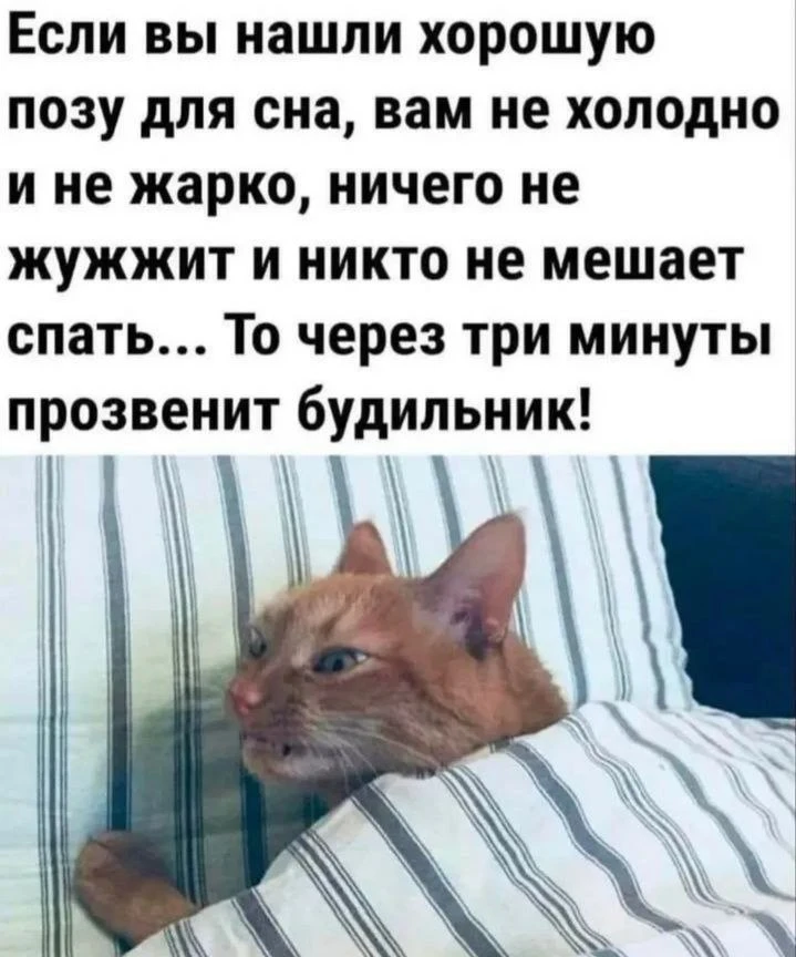 Доброго понедельничного! 😂