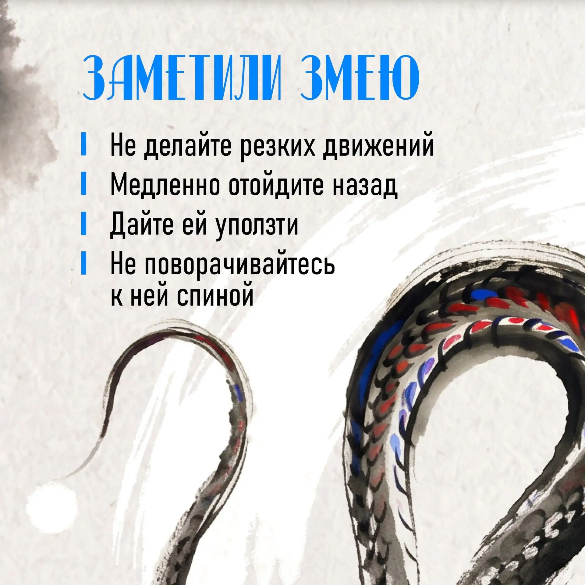 Как вести себя при встрече со змеёй

🐍 Летом в Ленинградской области змеи активны. Их можно встрети