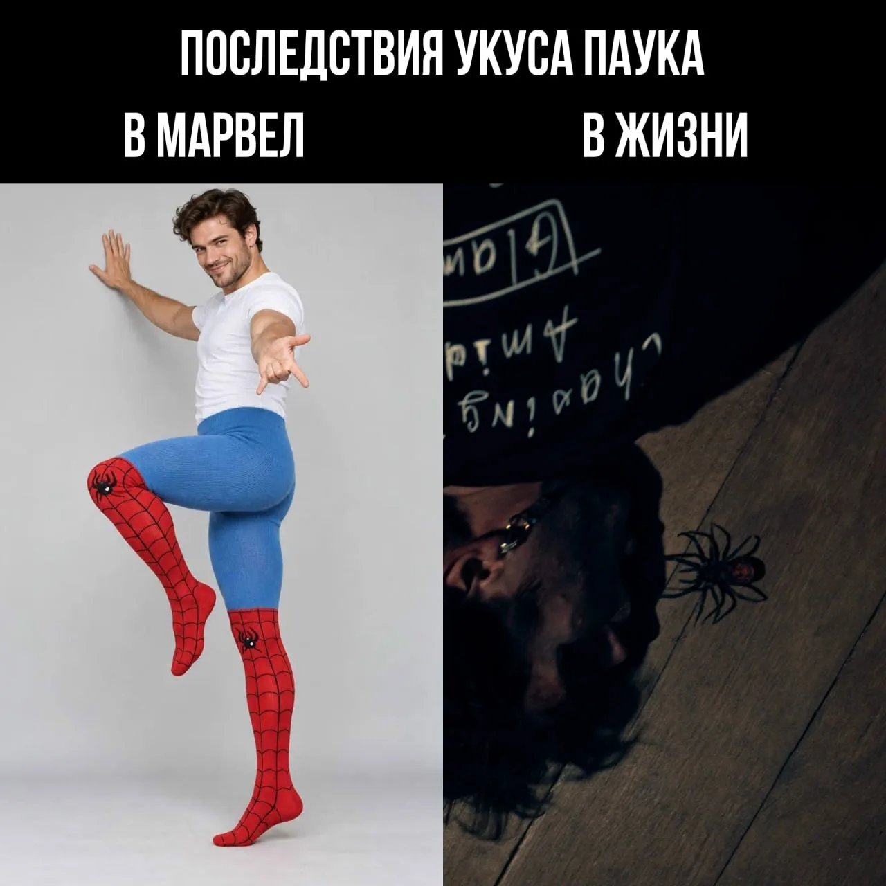 Ну потому что в жизни пауки, скорее,такие же как в новом «Арахниде», а не в Марвел…