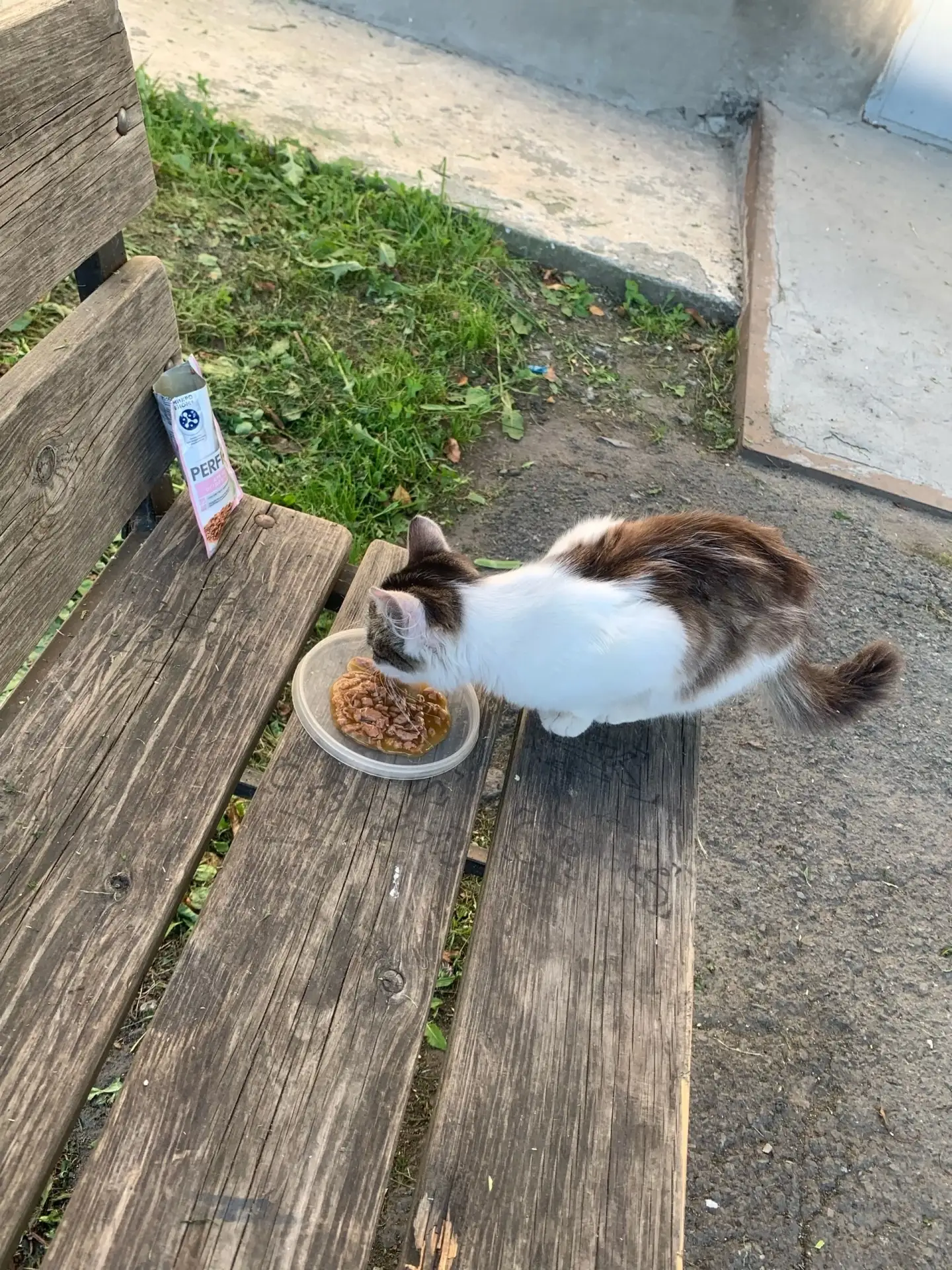 💔💔💔Прошу откликнуться неравнодушных людей🙏🙏🙏. Подкинули котёнка, месяца три на ви...