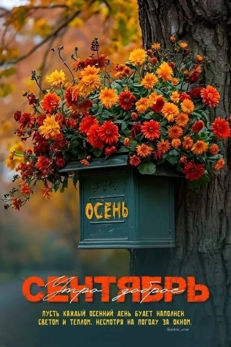 А новый день, как маленькая жизнь —