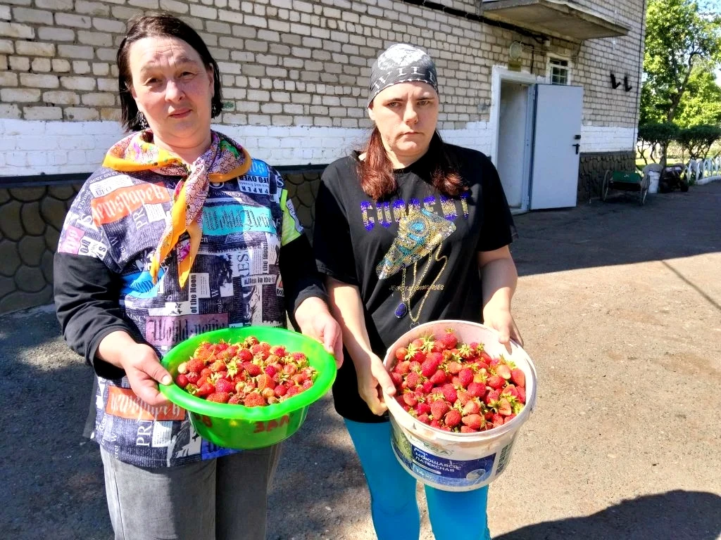 🍓Спелая, сочная, сладкая: клубничный урожай собран!

В Бузулукском доме милосердия «Оберег» собрали
