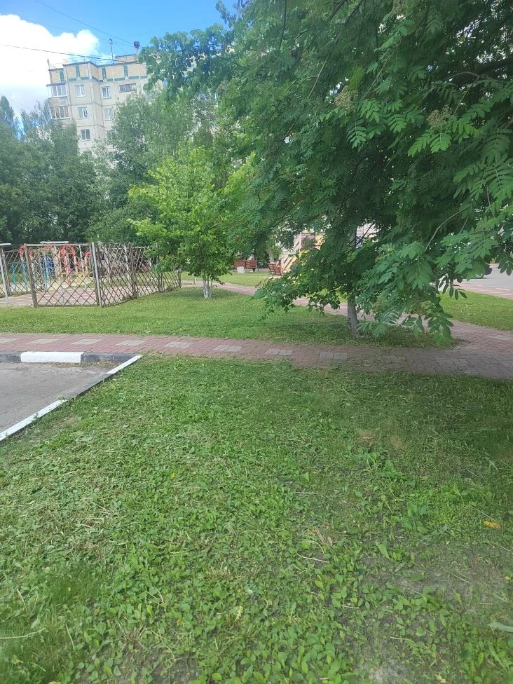 По адресу: ул. Губкина д.20 произведен покос сорной растительности.