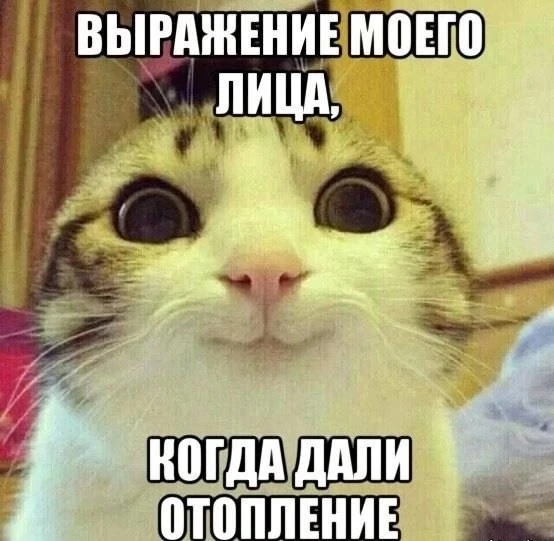 Перекличка! С 1 октября начали включать отопление. Как у вас — батареи уже тёплые?