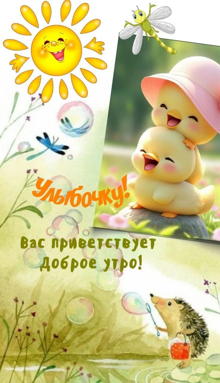 Доброе утро!☀️🐥