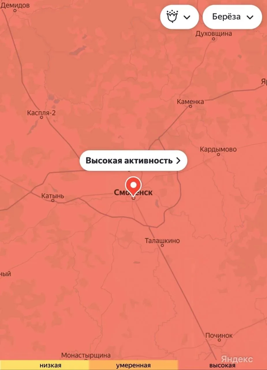 🤧 Активность пыльцы березы в Смоленской области достигла пика  В регионе из-за погоды береза зацвела