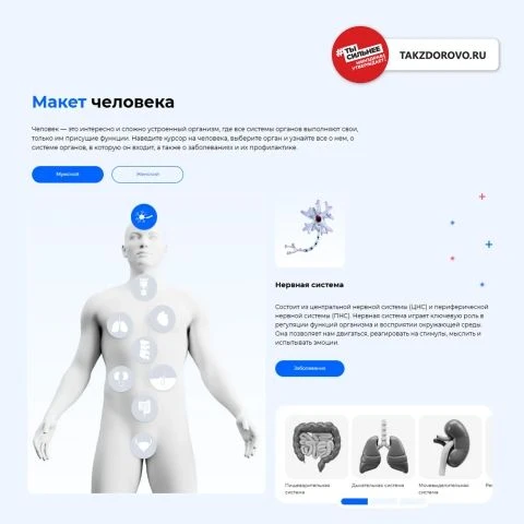Министерство социальной защиты Кузбасса рекомендует.