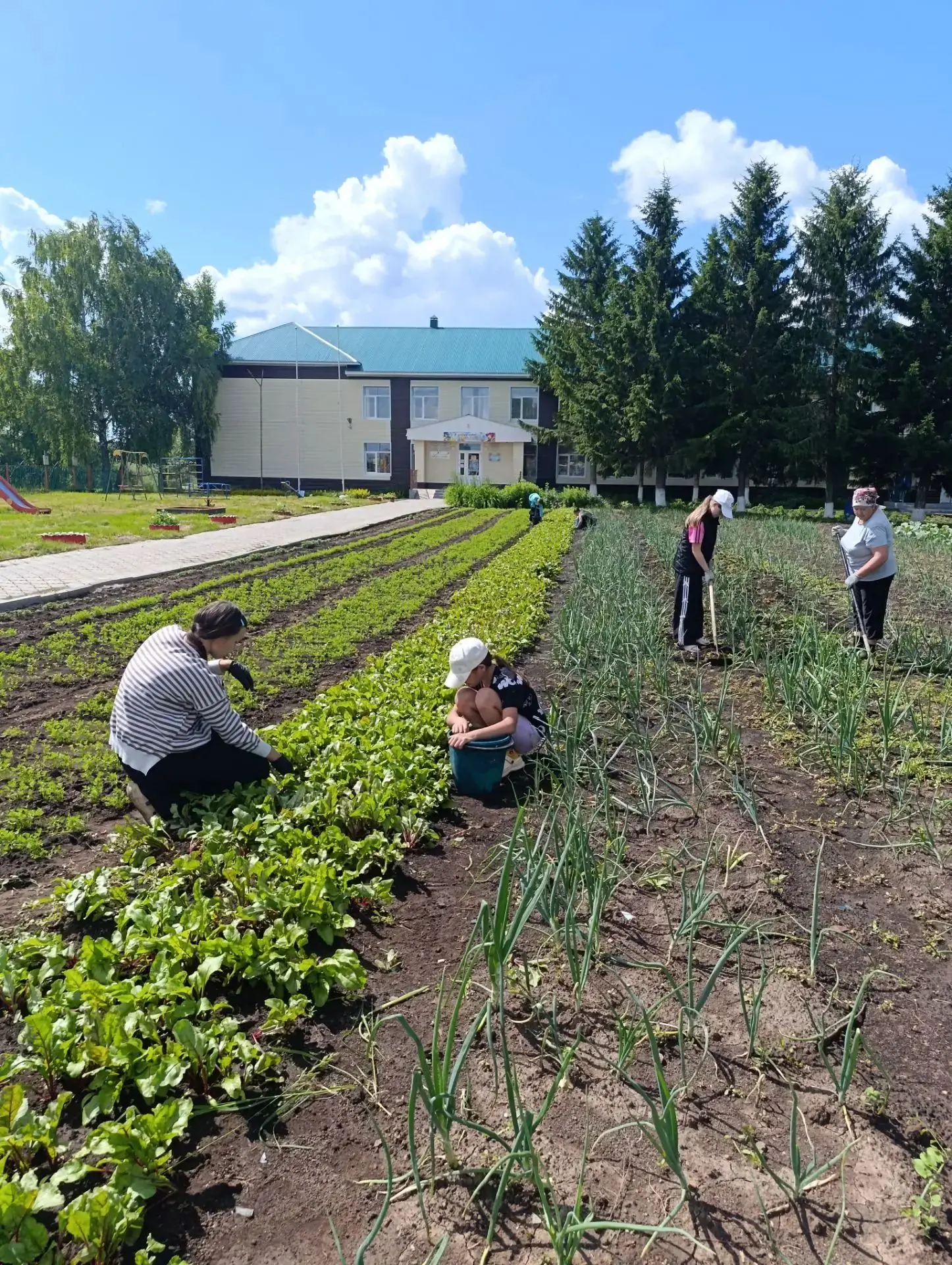 Летняя трудовая практика на пришкольном участке.🌿