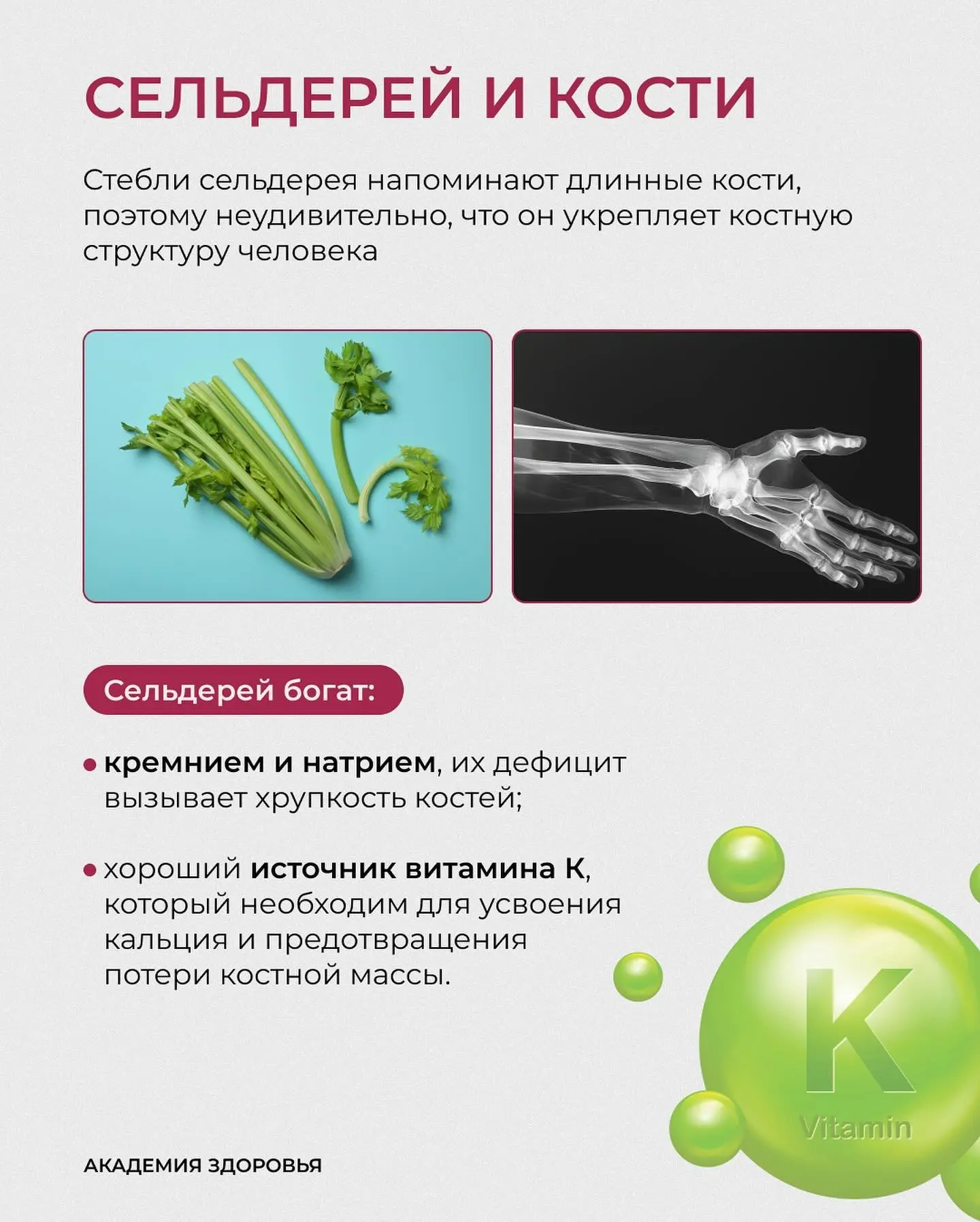 ЭТИ ПРОДУКТЫ ТОЧНО ДОЛЖНЫ БЫТЬ В ВАШЕМ РАЦИОНЕ  Все потому что они имеют особый эффект на наши орган