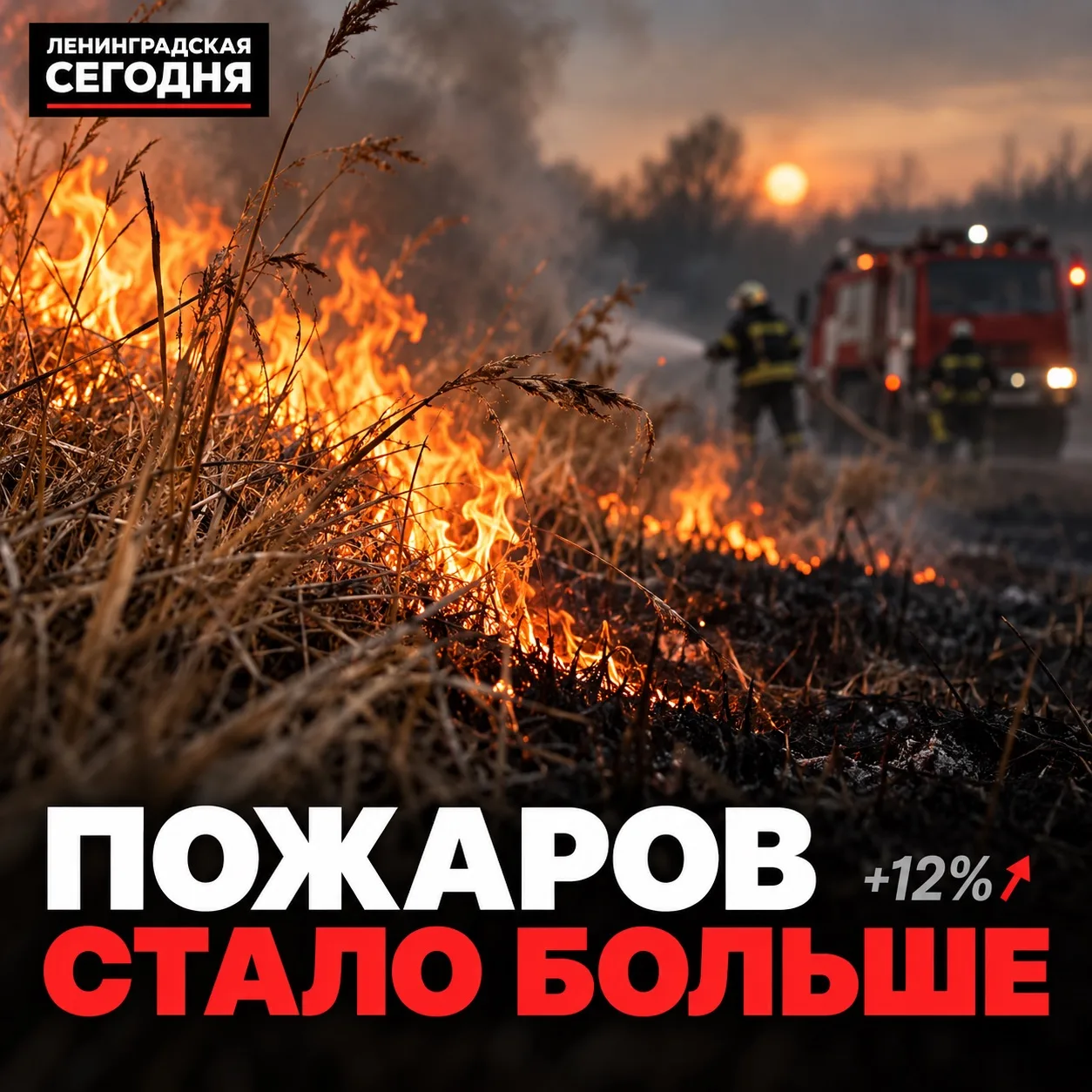 🔥 В Ленинградском округе число пожаров выросло на 12%