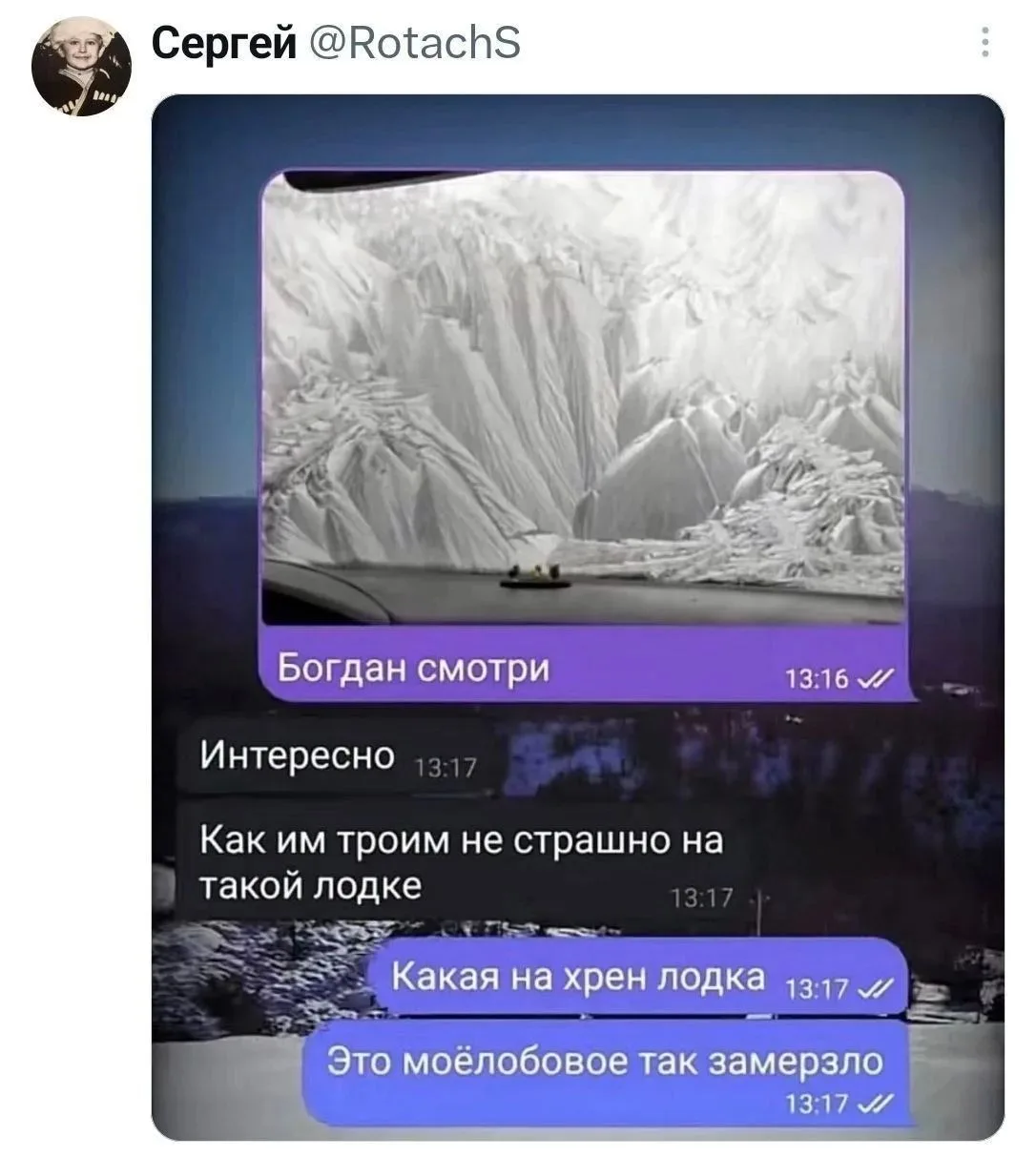 Милота/юмор/мем на ночь 🌙