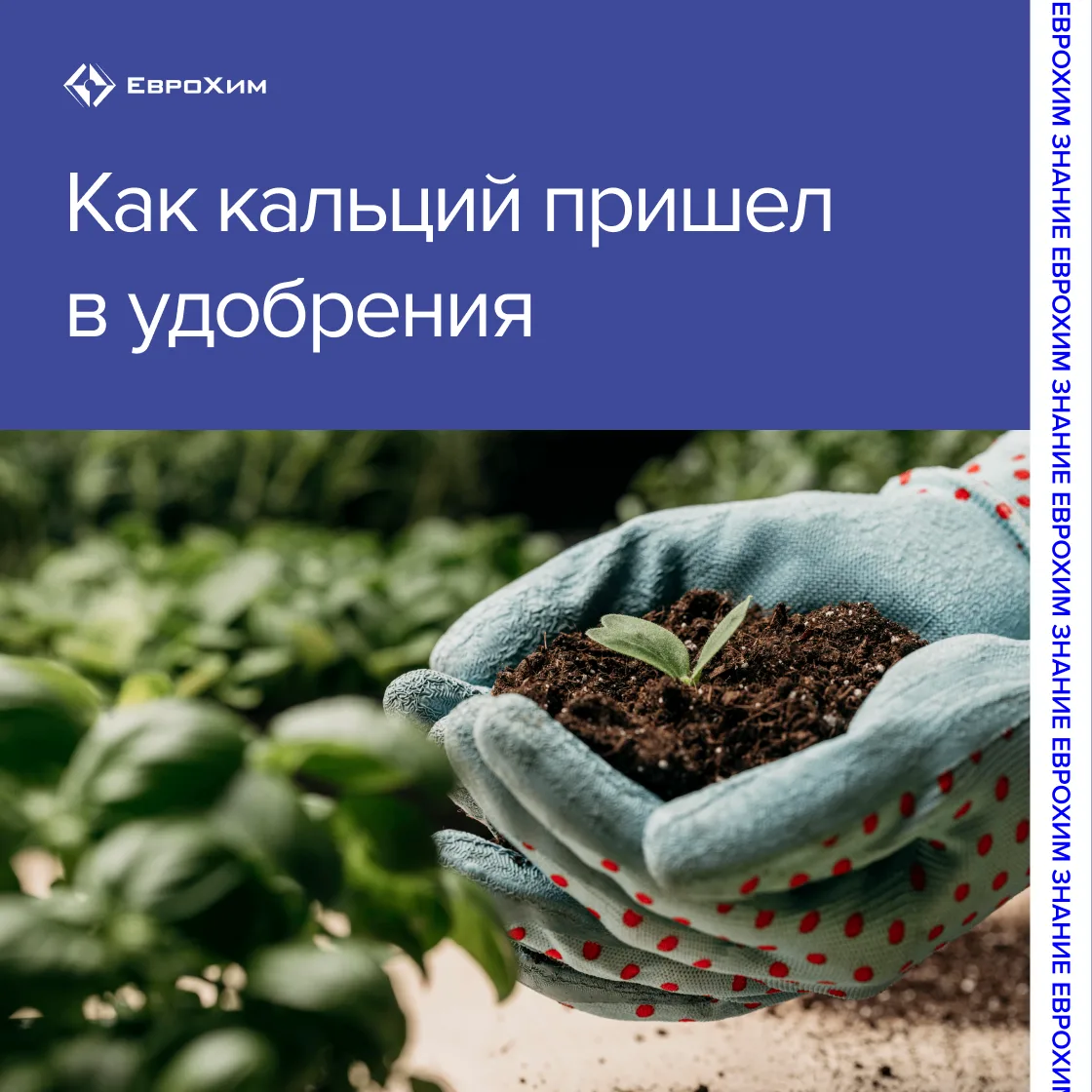 Как кальций пришел в удобрения 🌱