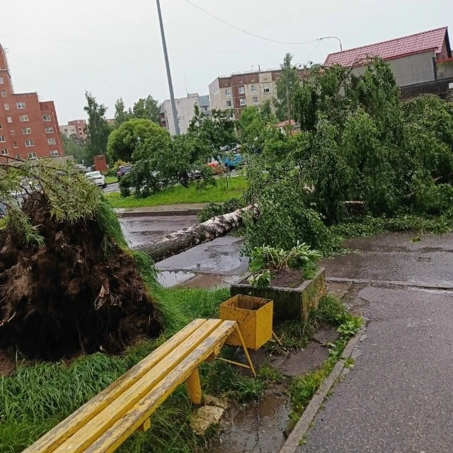 ⚡️Город атомников - Сосновый Бор!